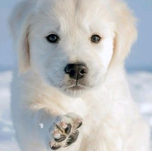 Meet your Posher, Patricia